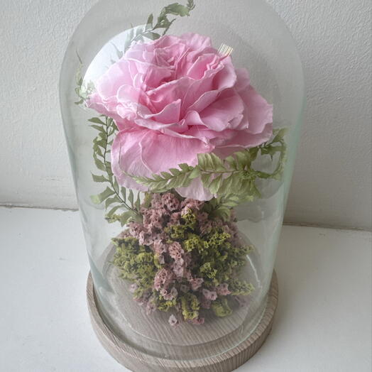 Роза в колбе в клоше «Роза в саду» стабилизированная подарок