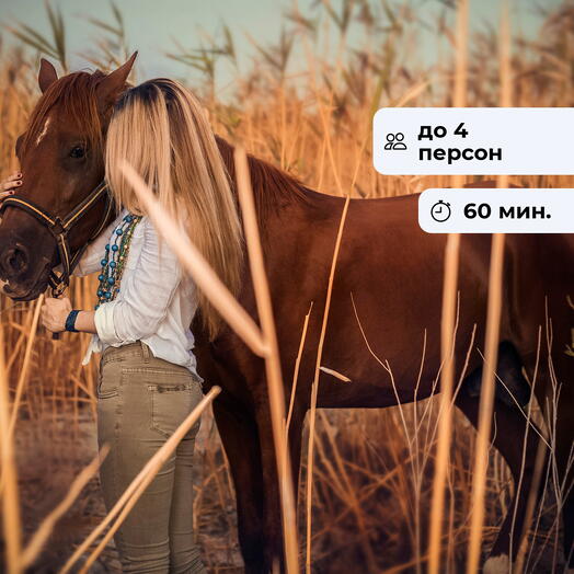В кадре. Фотосессия с лошадью в Бархат Ранчо