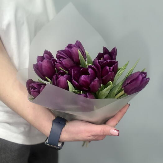 Тюльпан фиолетовый