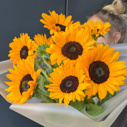 Sunflower 🌻