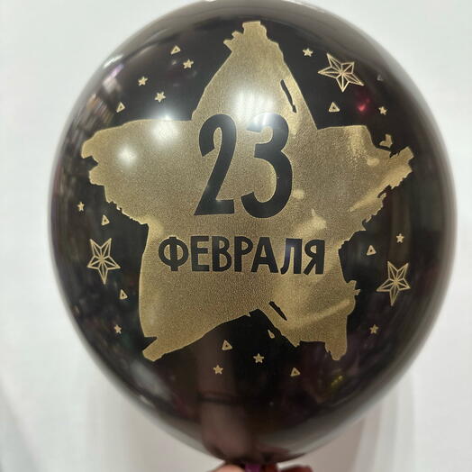 Шар латексный к 23 февраля