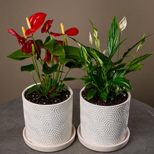 Мужское/женское счастье (набор)