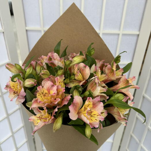 Alstroemeria🌺