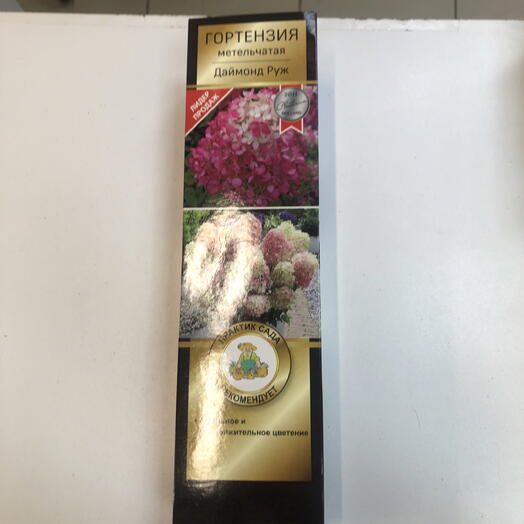 Гортензия Даймонд Руж