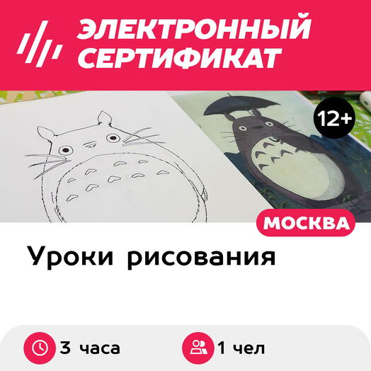 Подарочный сертификат Урок рисования аниме, 1 чел. в составе группы (3 часа) (Москва)
