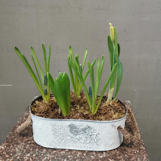 Весенний микс