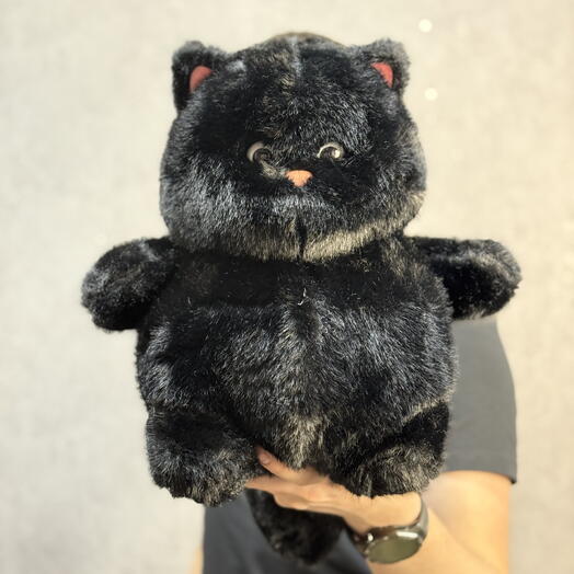 Мягкая игрушка черный кот (размер М)