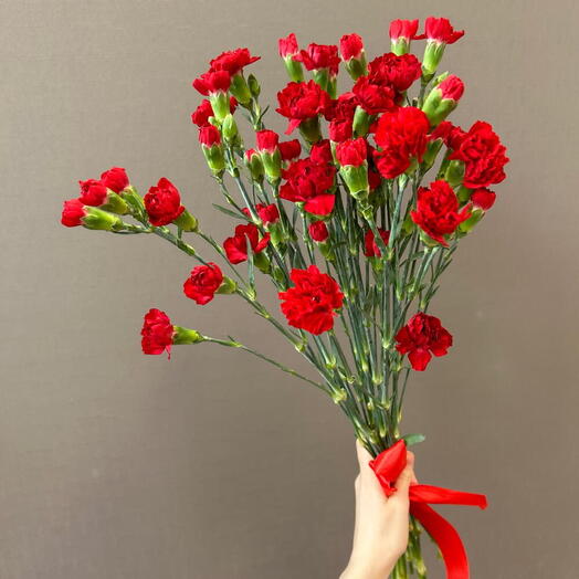 Красные гвоздики, кустовые, 9 шт
