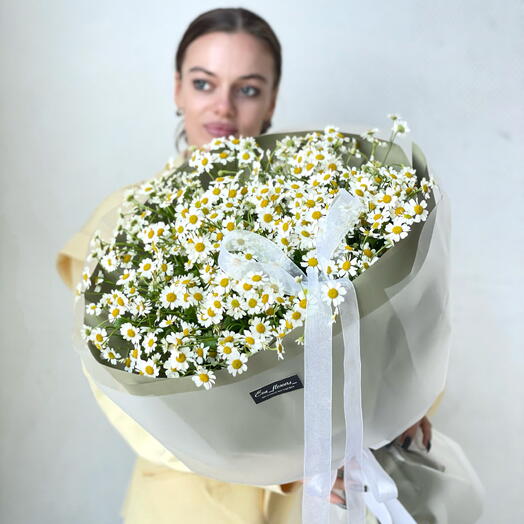 Ромашковая нежность