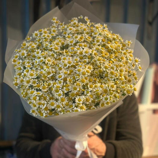 Букет ромашек 25 штук