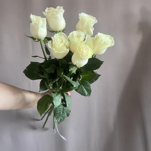 Розы 🌹