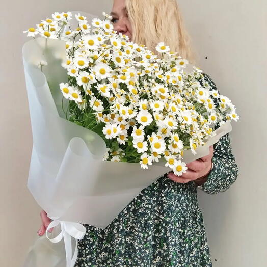 Букет ромашек