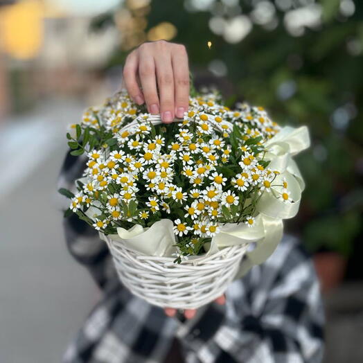 Корзинка с ромашками