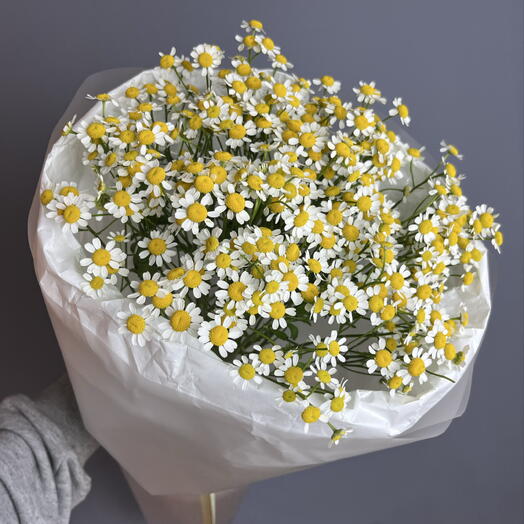 Букет ромашек (9 шт)