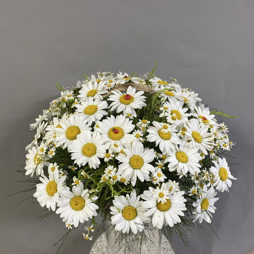 Корзина с ромашками