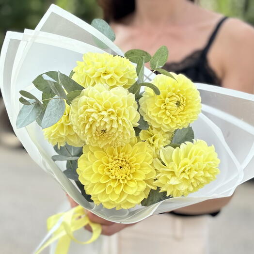 Жёлтые георгины 7 шт💛