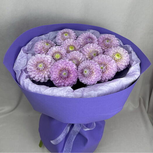 Сиреневые георгины💜💜💜