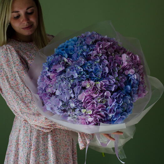 Моно из 7 акварельных гортензий