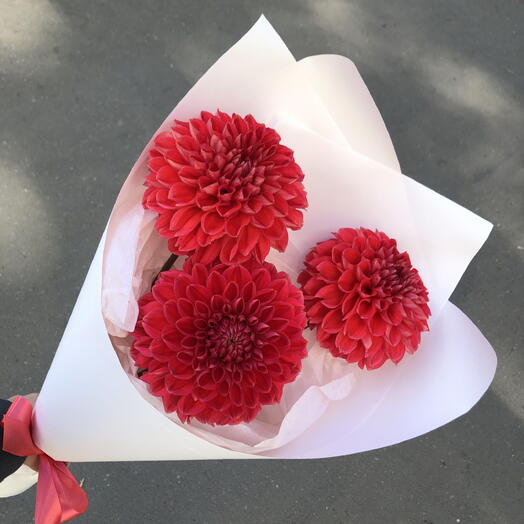 Красные Георгины