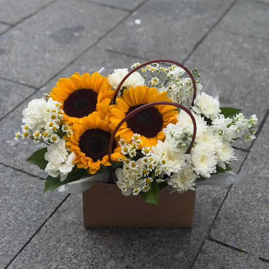 Поле 🌻