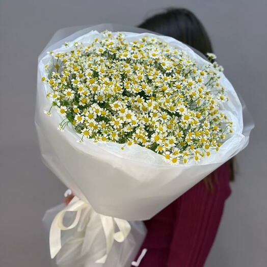 Букет ромашек