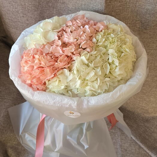 Пышный букет гортензий Зефирка