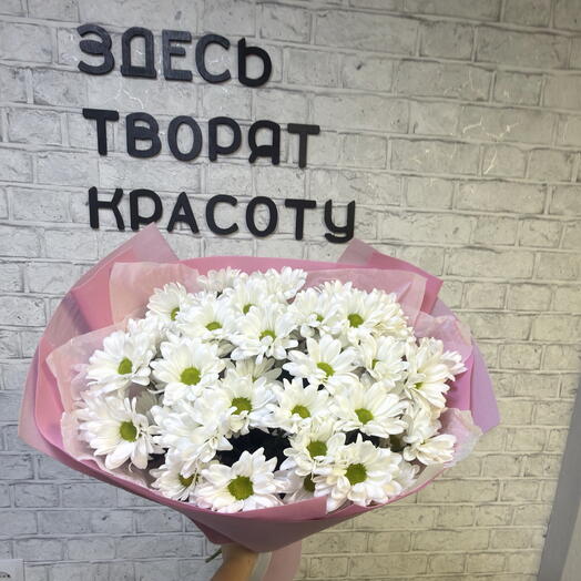 Ласточка 🤍