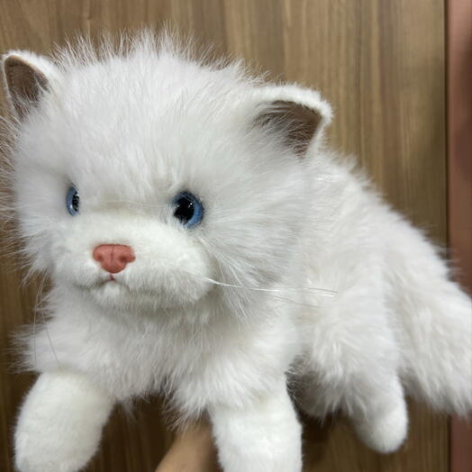 Мягкая игрушка котик