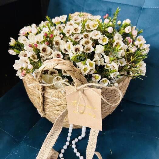 Хамелациум в корзине🌺🌸🌸