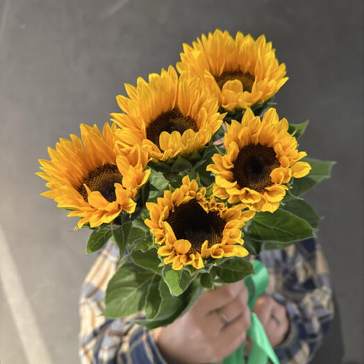 Подсолнухи мини декоративные 🌻