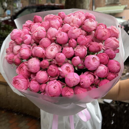 Rose Silva Pink