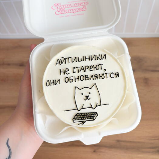 Бенто торт айтишники не стареют они обновляются с котиком