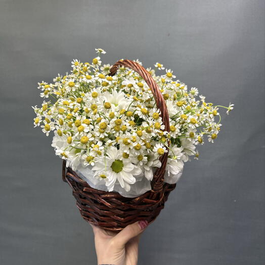 Луговое лукошко из ромашек