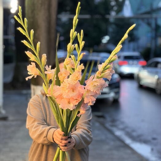 Гладиолусы 5 шт