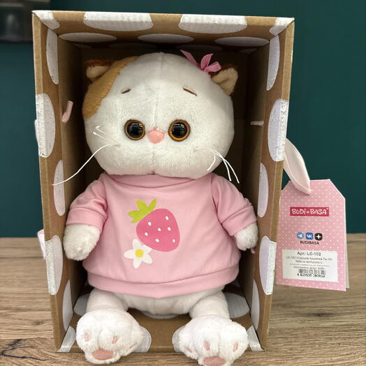 Игрушка Кошечка Ли-Ли baby в свитшоте