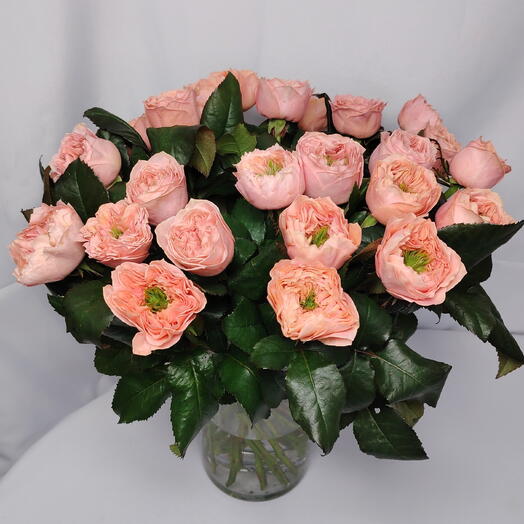 🔥NEW🔥Пачка Пионовидные сортовые розы Питер Парк 25 шт, 40 см