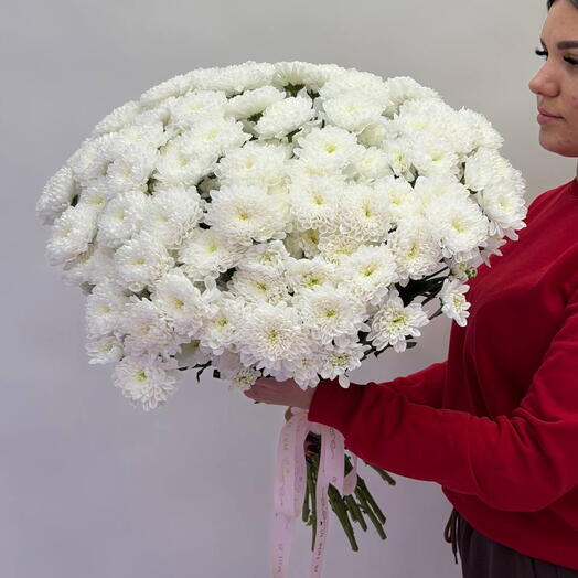 Х041 Шикарные алтайские кустовые хризантемы 15 шт
