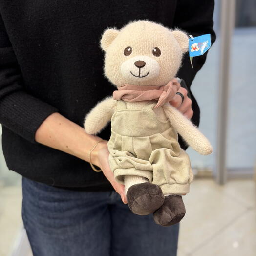 Мишка в костюмчике