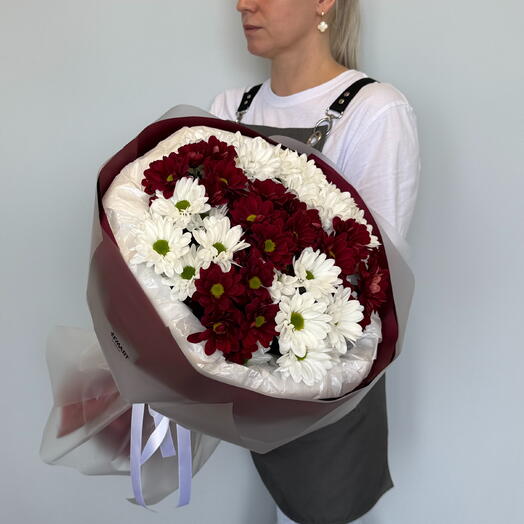Букет из хризантем кустовых бордовых и белых