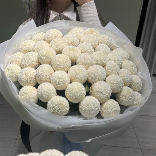 Рафаэлки