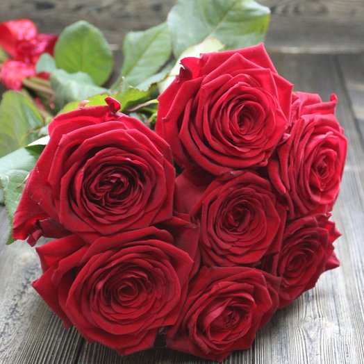 7 roses Red Naomi