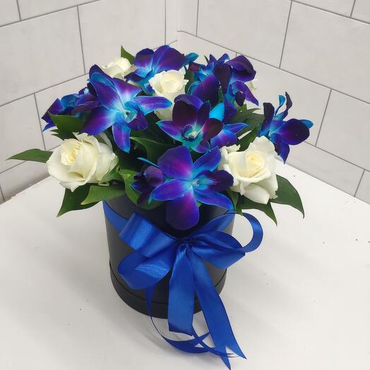 Dendrobium y rosa