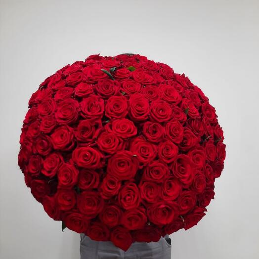 101 red Roses