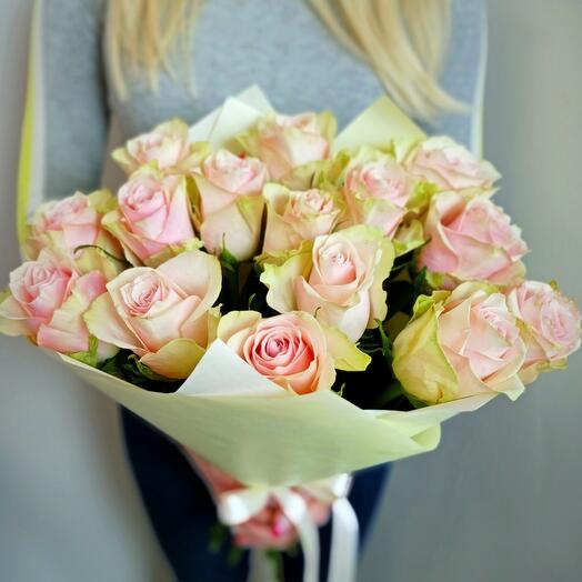 15 delicate roses Holland