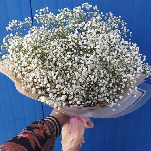 The Gypsophila Cloud