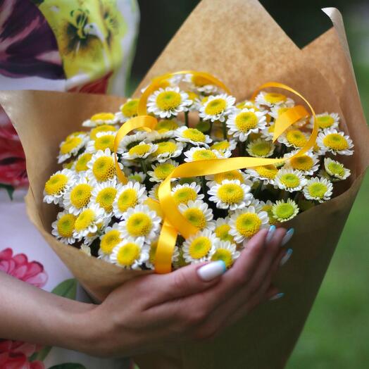 Стойкие кустовые ромашки