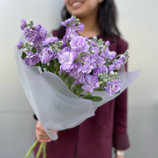 Ramo de matthiola arbusto fragante 💕