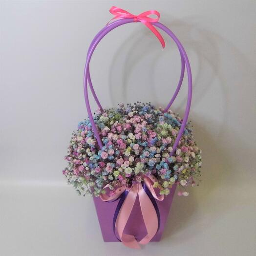 Rainbow gypsophila in a purse 22x22