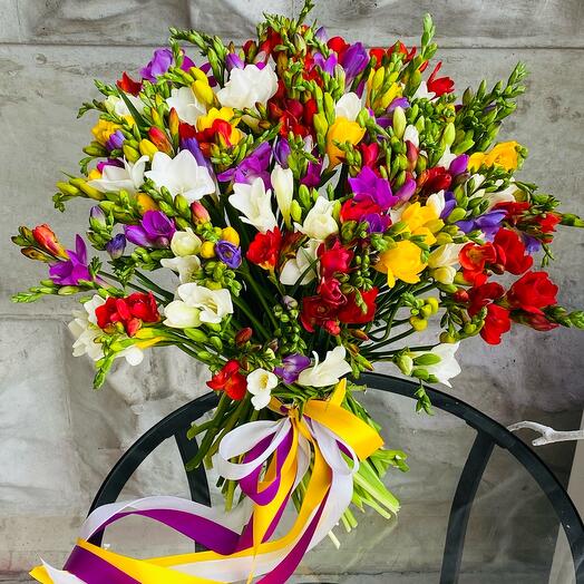 101 Freesia