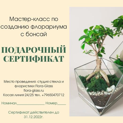 Мастер-класс по созданию флорариума с бонсай или суккулентами